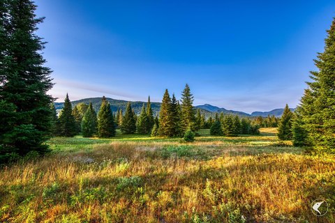 LAND - Lake Placid, NY