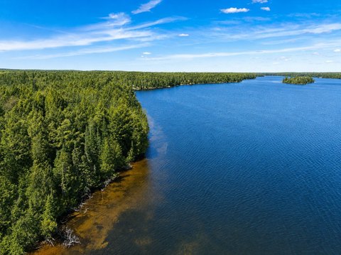 Land, Land O Lakes, MI