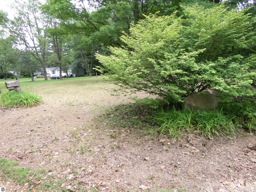 Picture 14