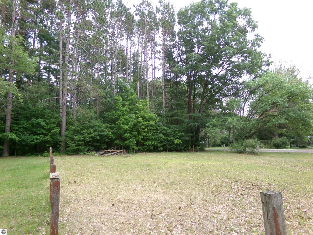Picture 8