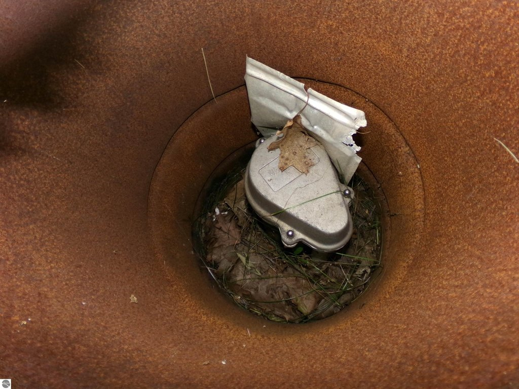 Picture 12