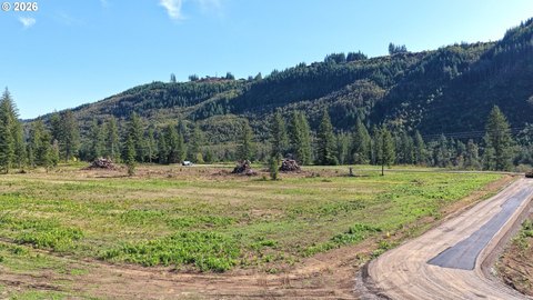 Land, Ariel, WA