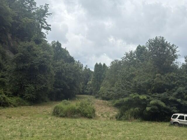Picture 7
