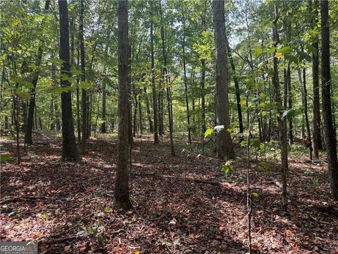 Private Wooded Estate Lot