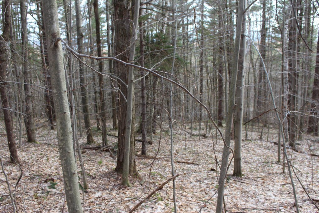 Picture 16