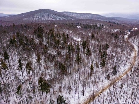 Wooded Lot with Septic Permit