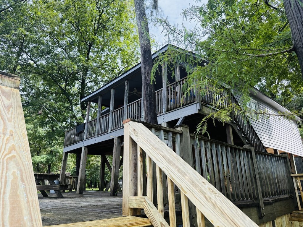 Picture 5