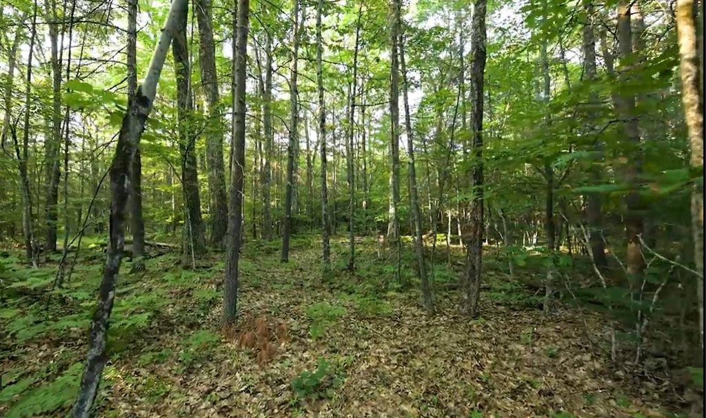 Picture 30