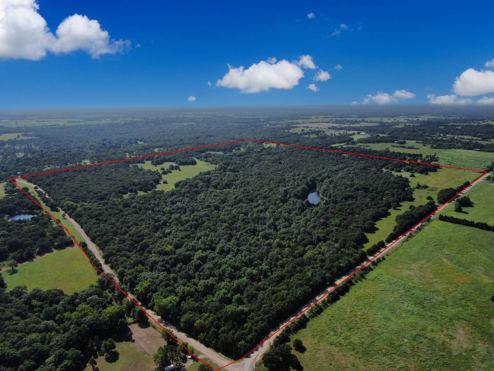 160 Acres of Oklahoma Land