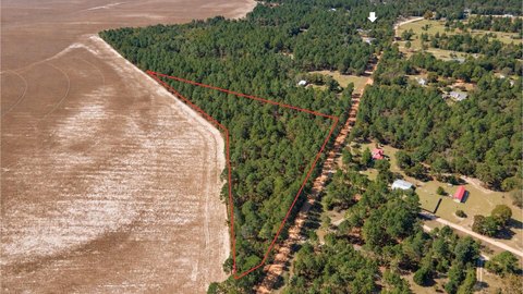 Land, Pelion, SC