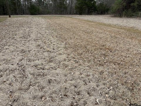 Cleared Waterfront Lot