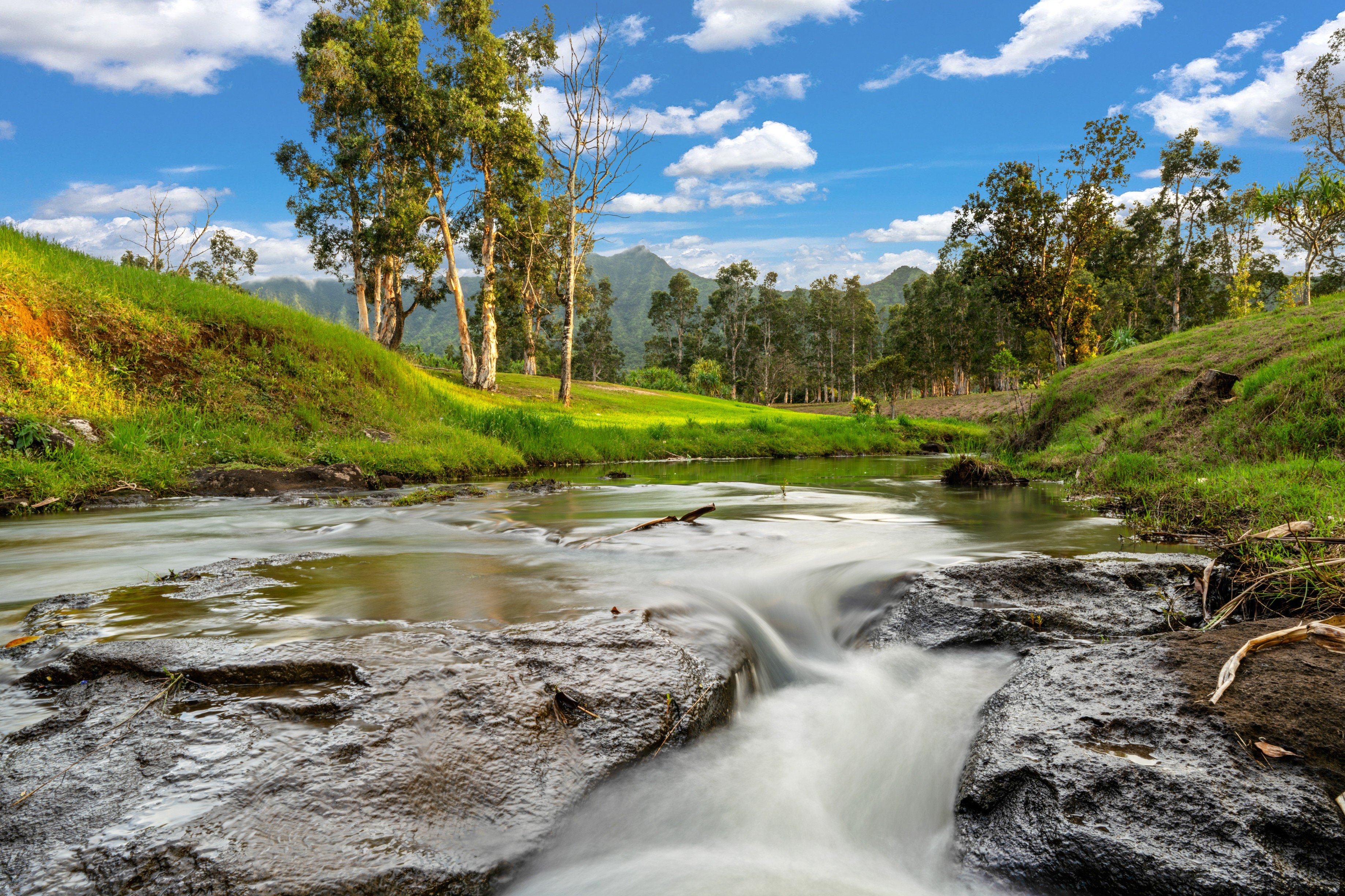 Kauai Ranch with Flowing Stream