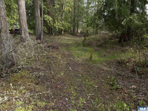 Sequim Land with Development Potential