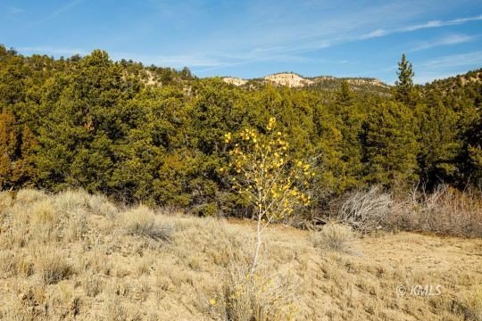 Land in Deer Springs Ranch