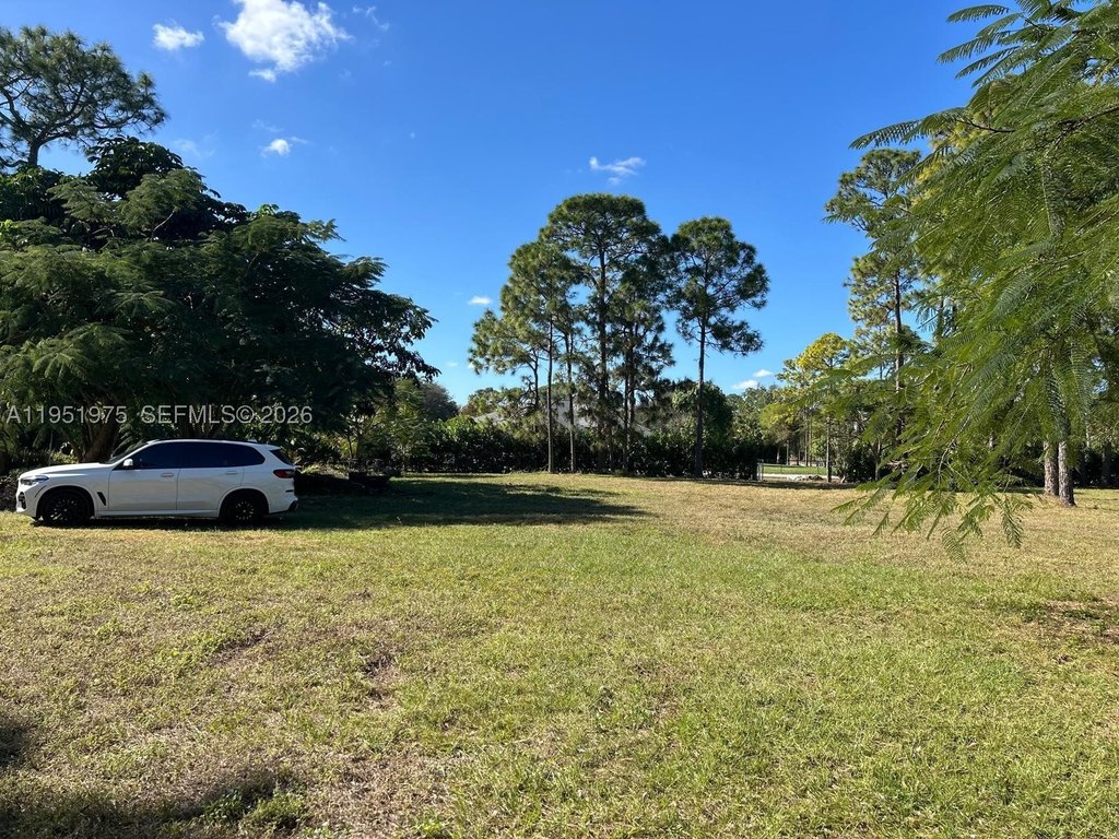 Picture 20