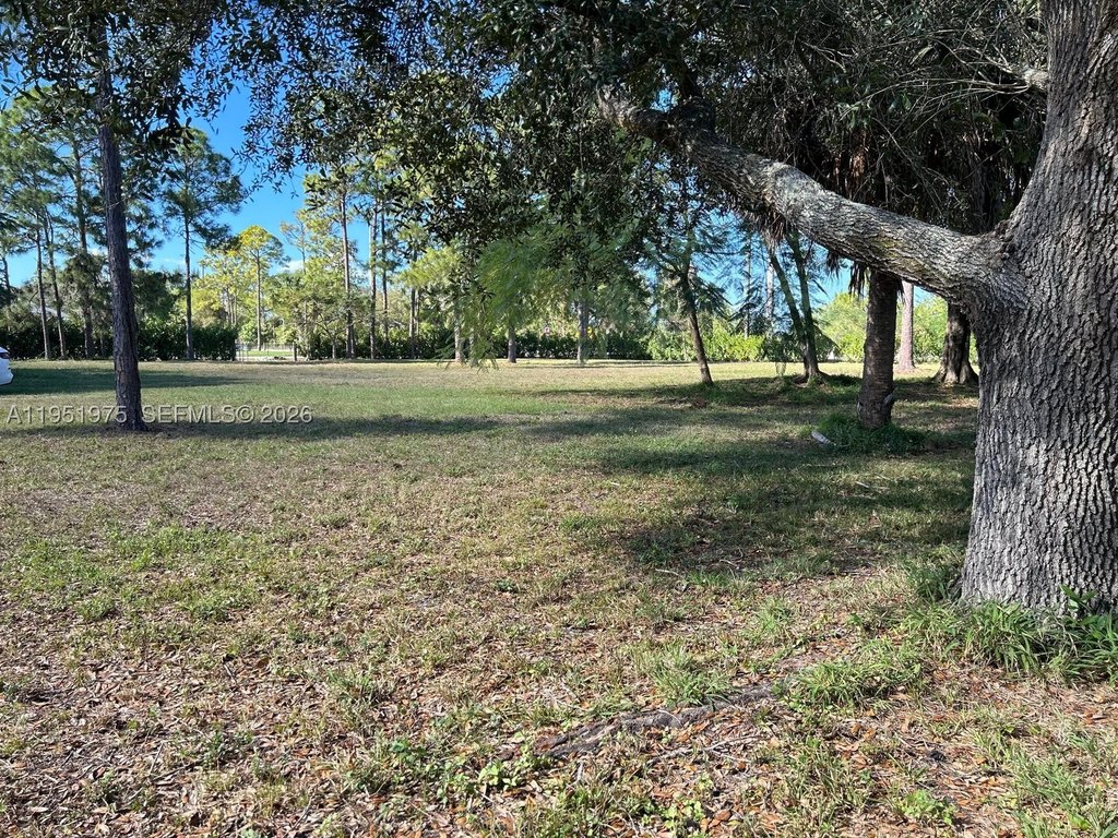 Picture 12