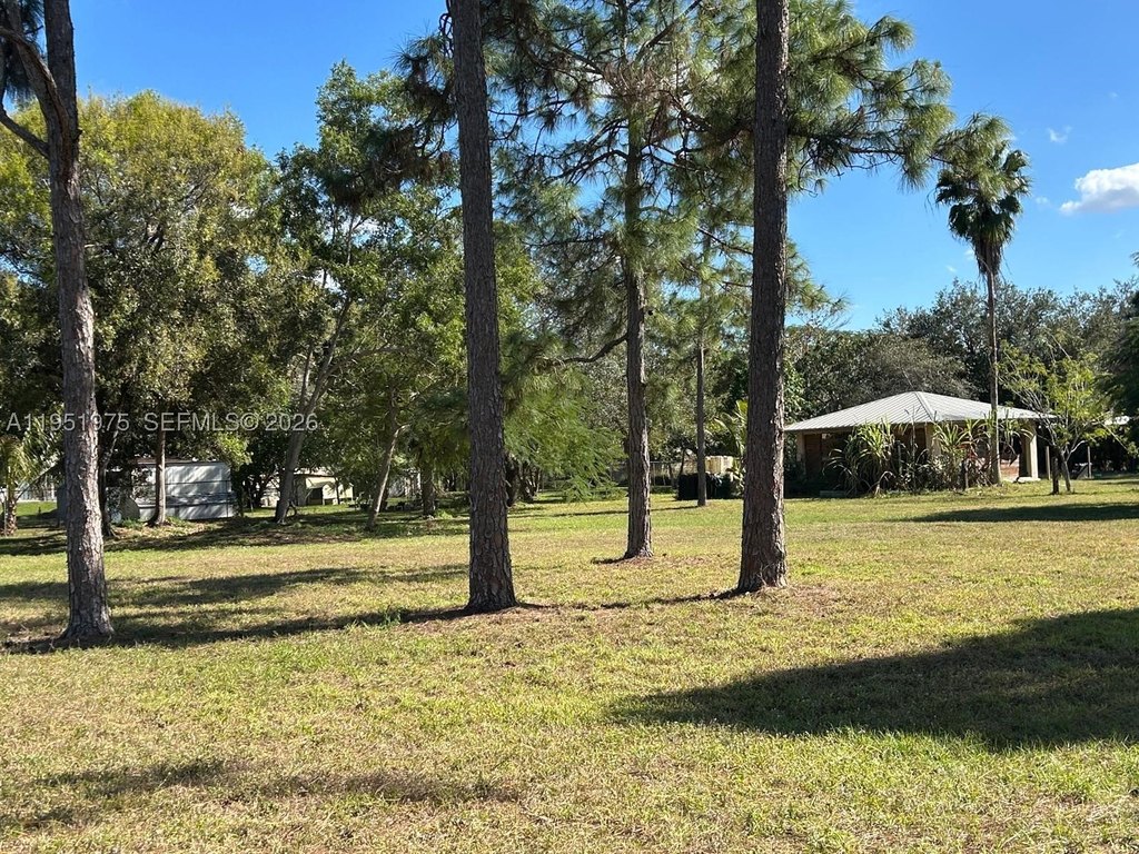 Picture 23