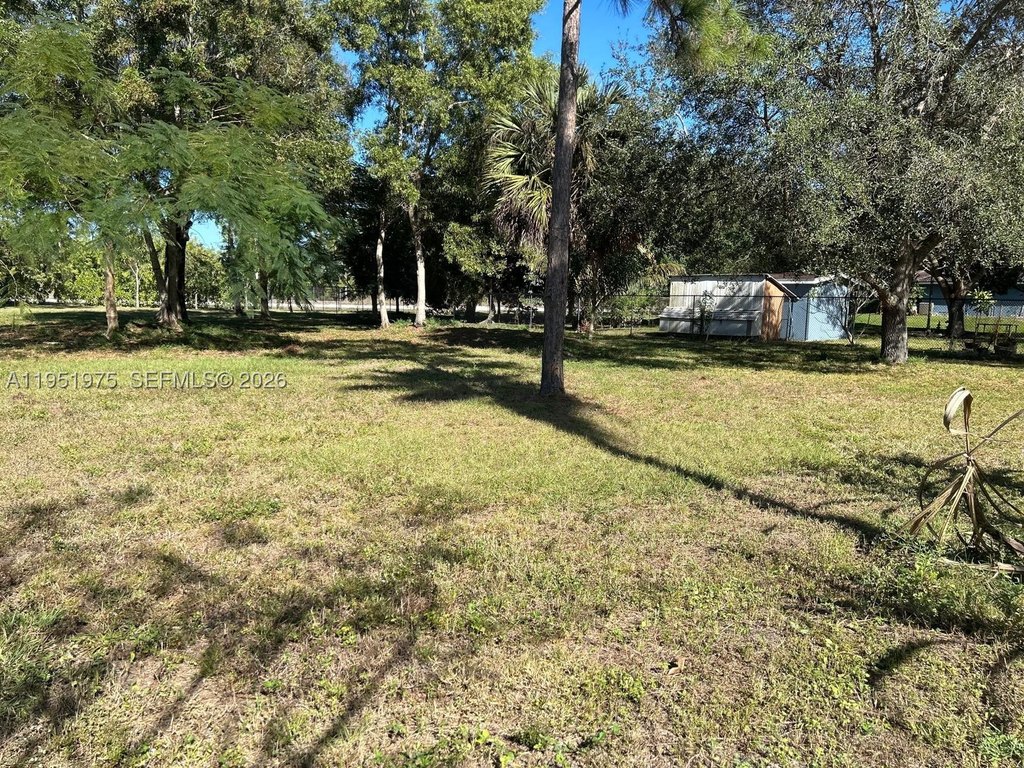 Picture 18