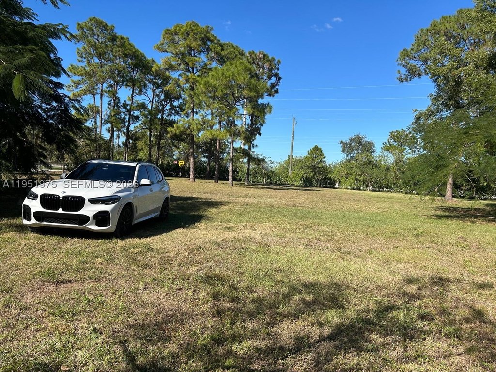 Picture 21