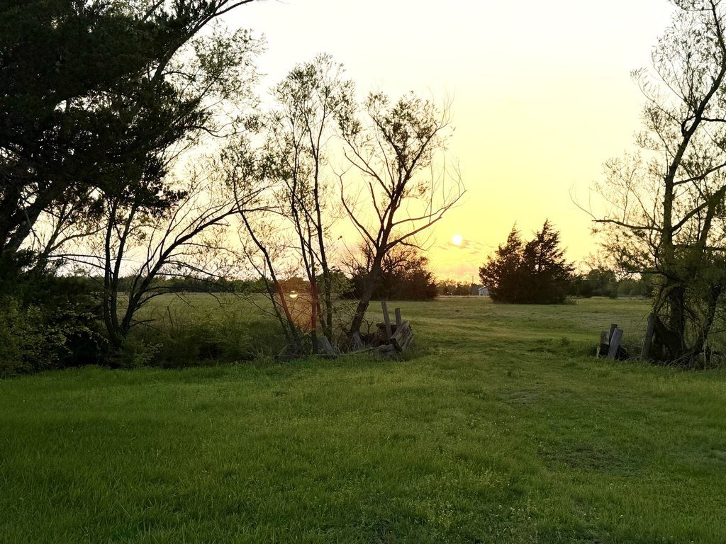 Picture 24
