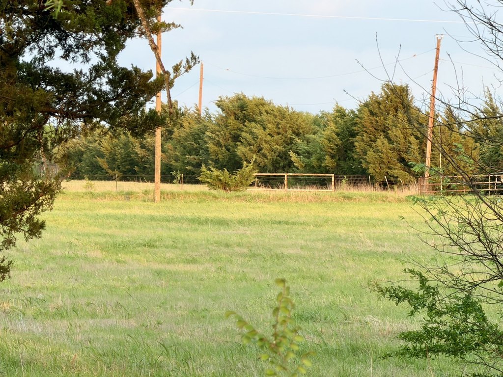 Picture 13