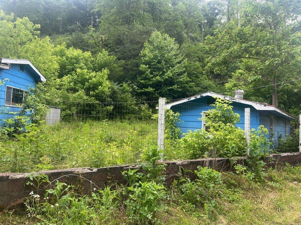 Picture 5
