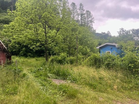 Residential Land in Dana, KY