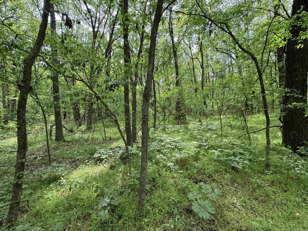 Picture 45