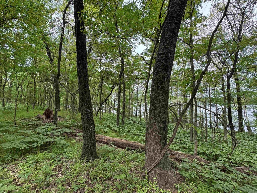 Picture 25