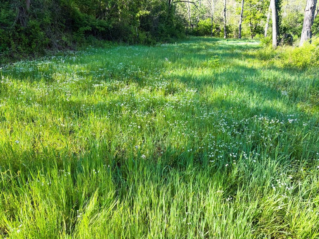 Picture 38