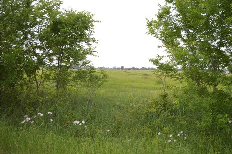 Country Homesite Land Parcel