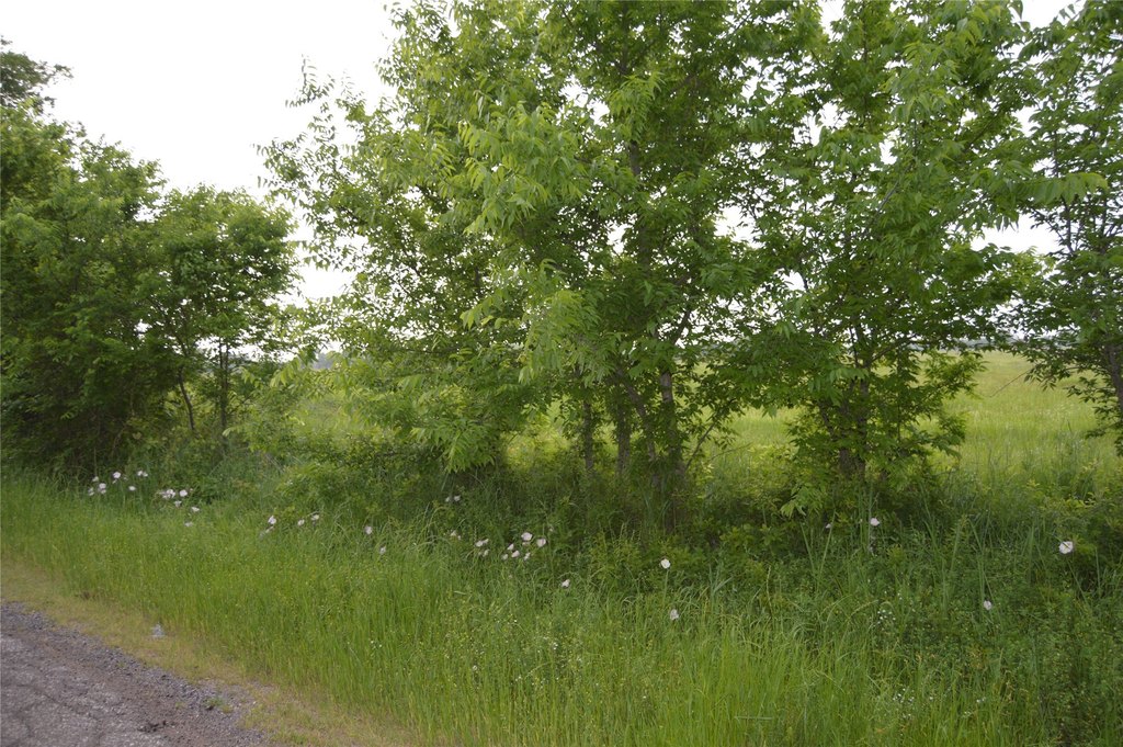 Picture 14
