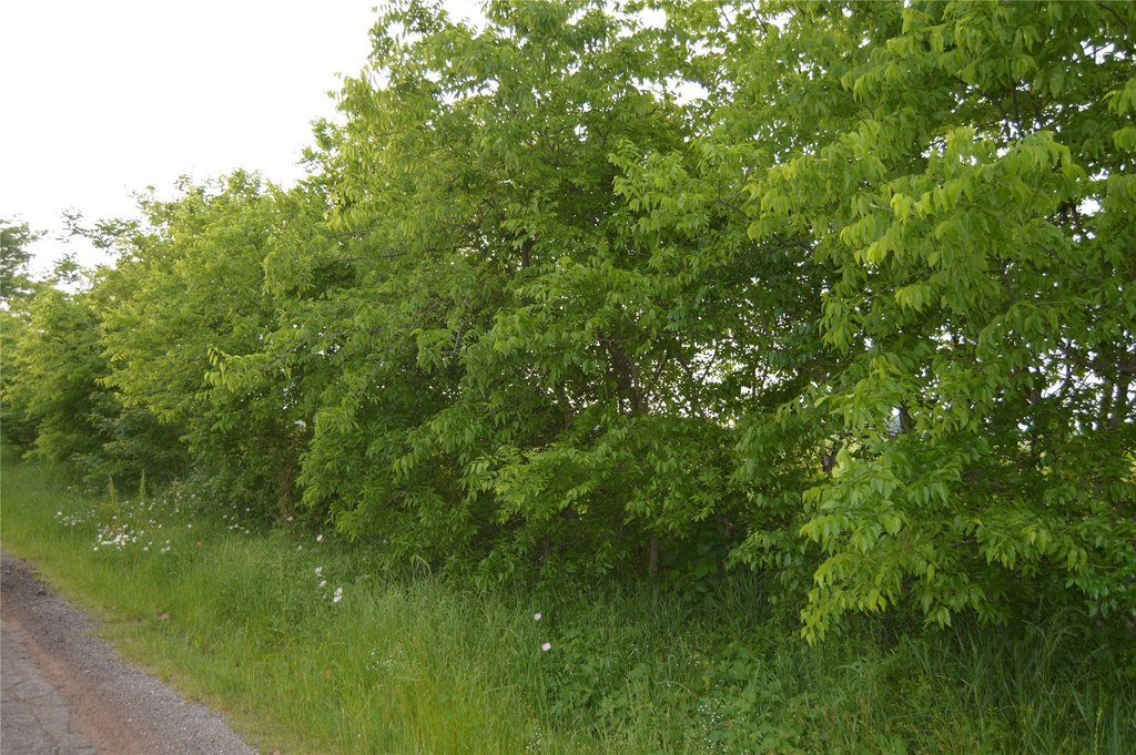 Picture 11
