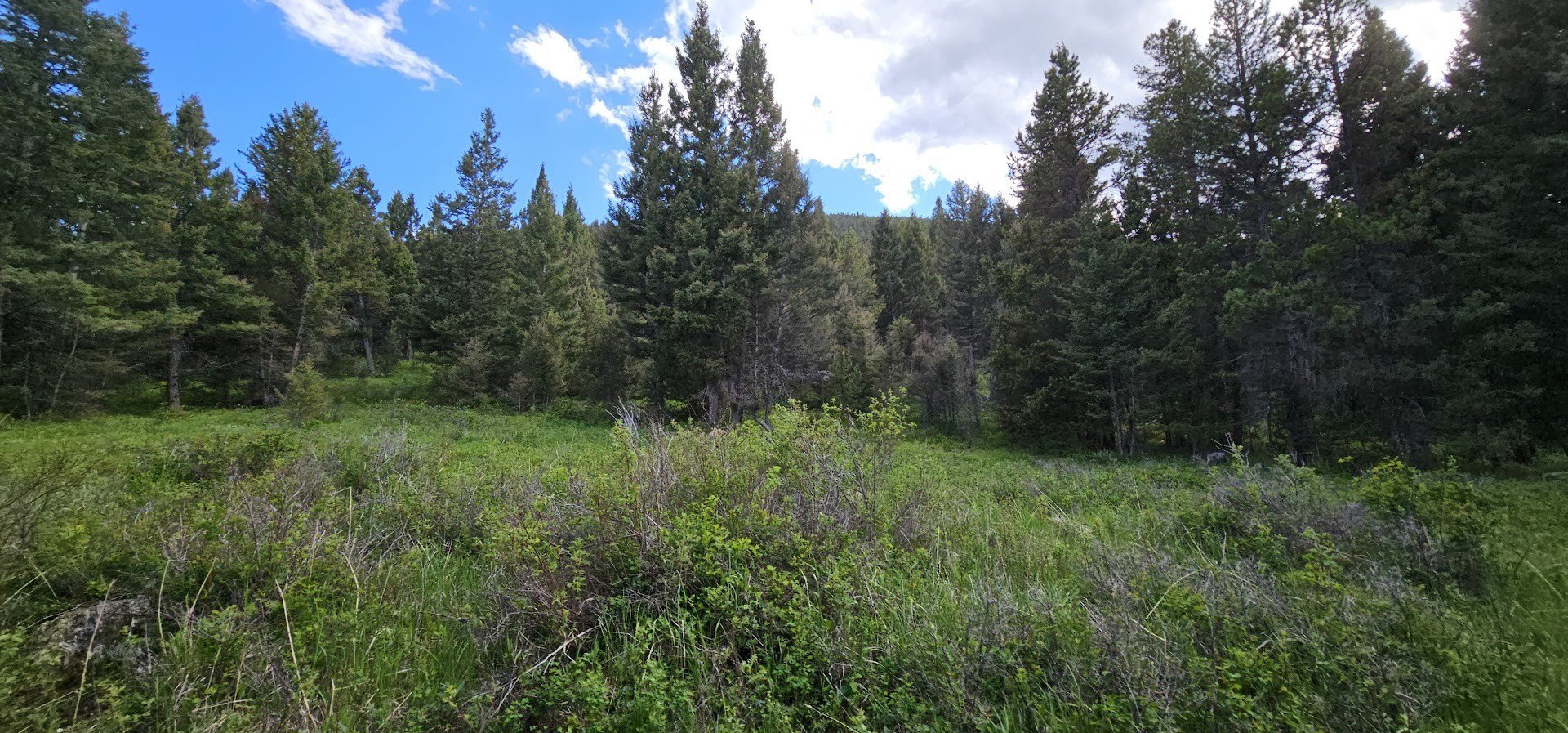 Helmville Land with BLM Access