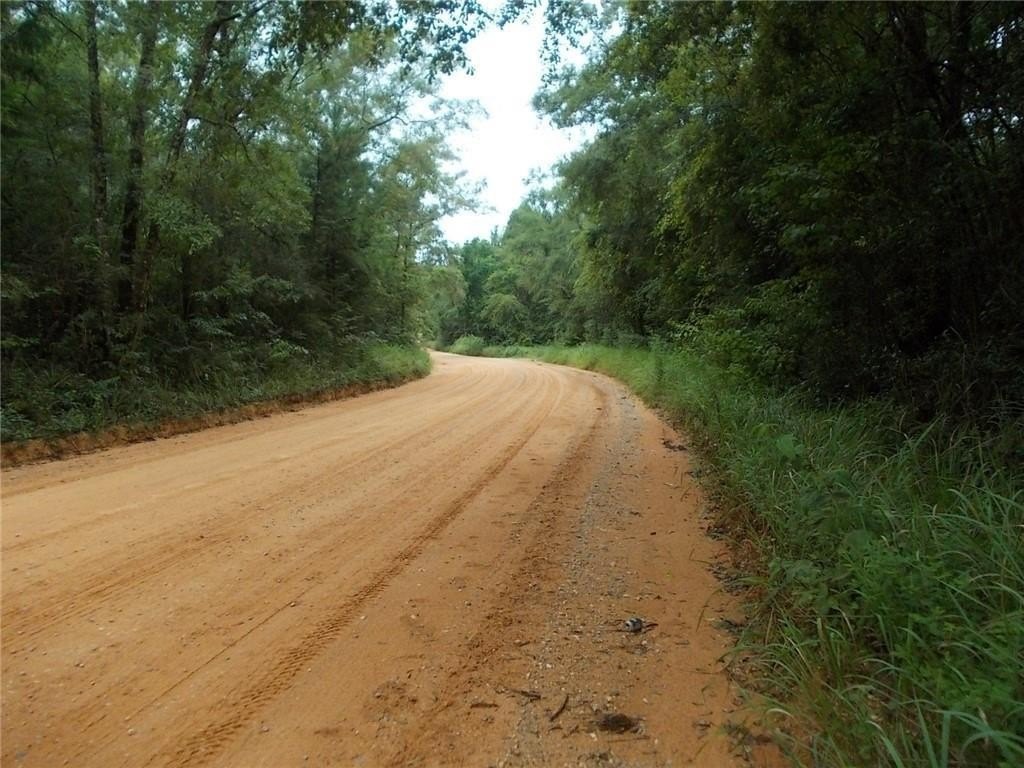 Picture 3