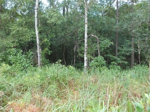 LAND - Citronelle, AL