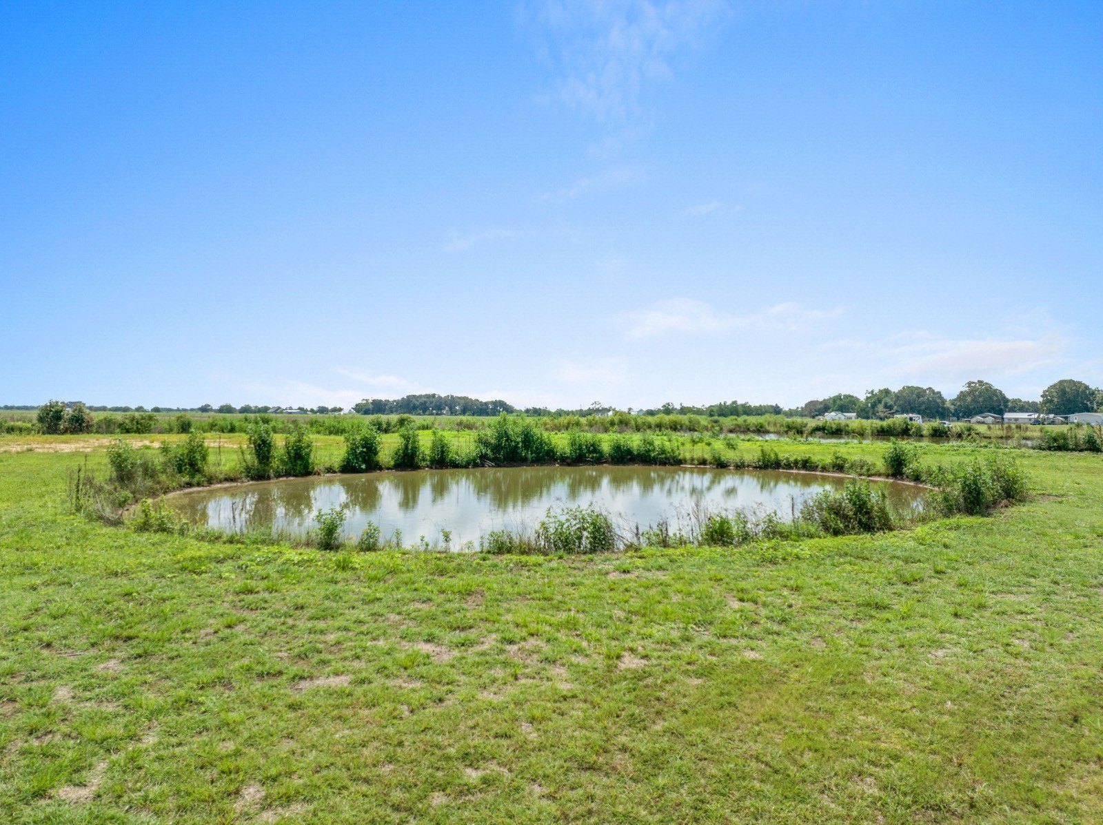 Land with Crawfish Pond