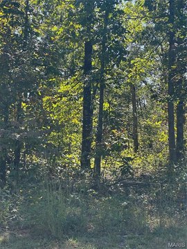 Wooded Hunting Land with Pond