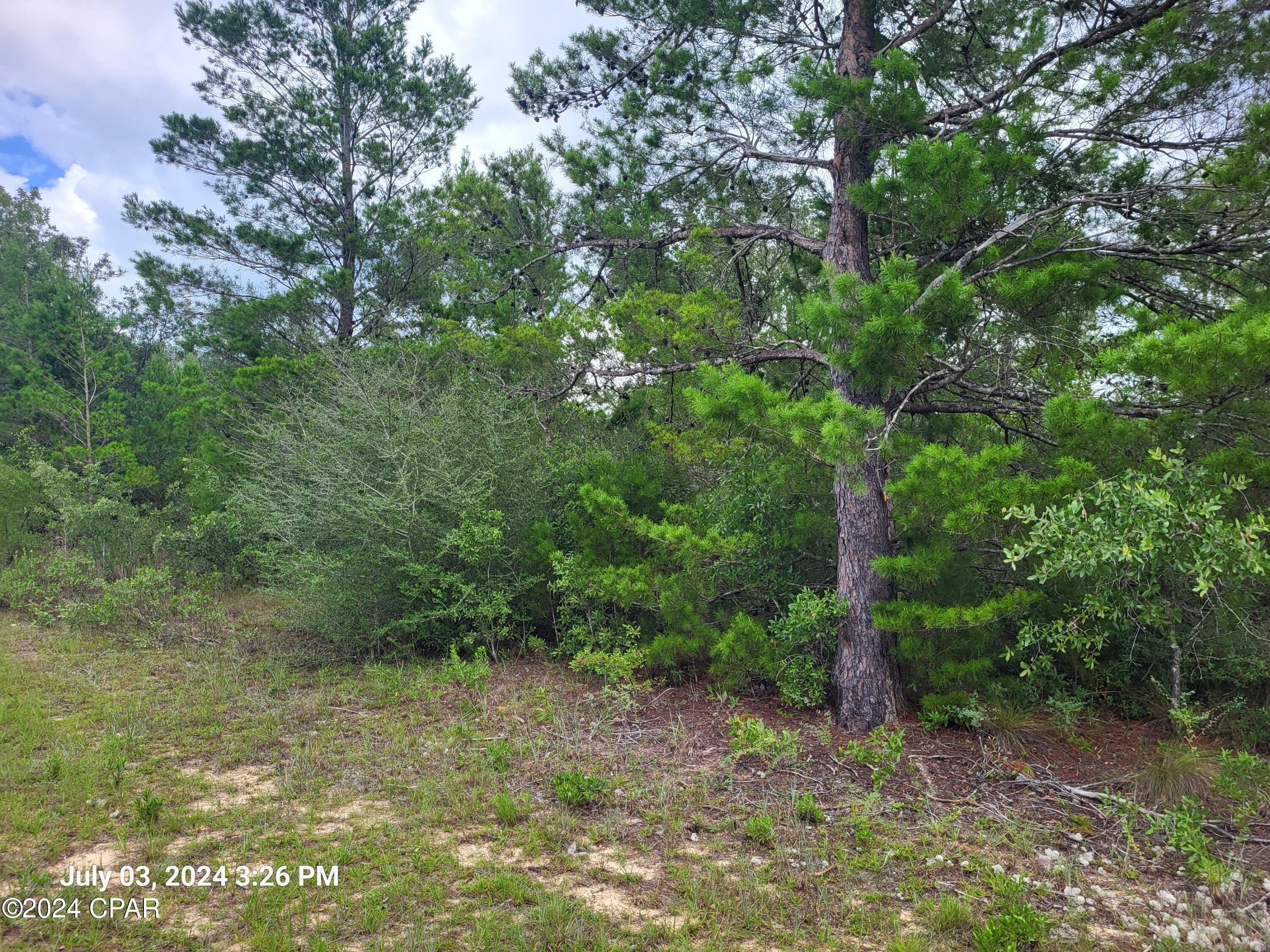 Residential Land in Sunny Hills