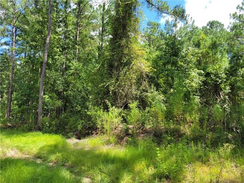 Residential Land in Waycross, GA