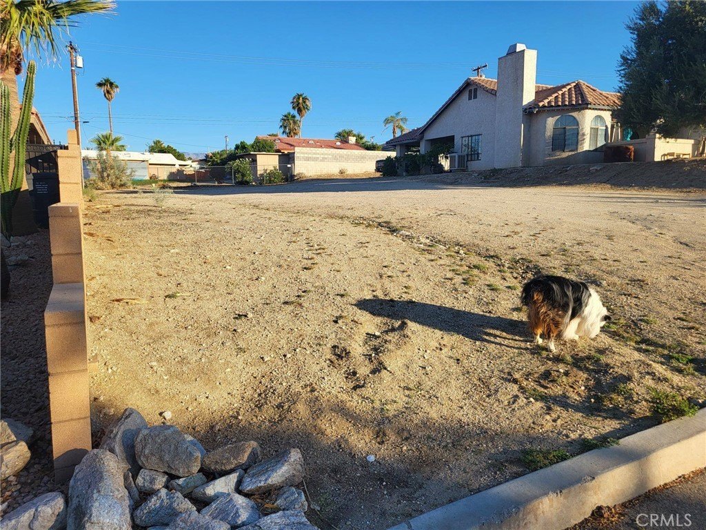 Picture 3