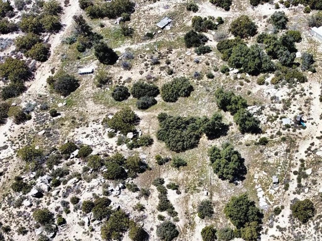Picture 8