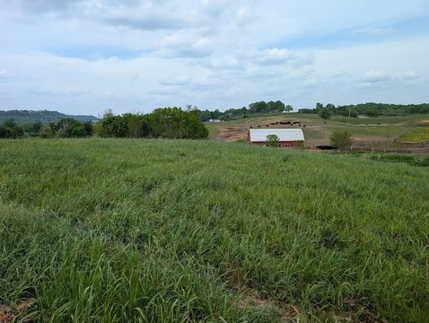 LAND - Burkesville, KY