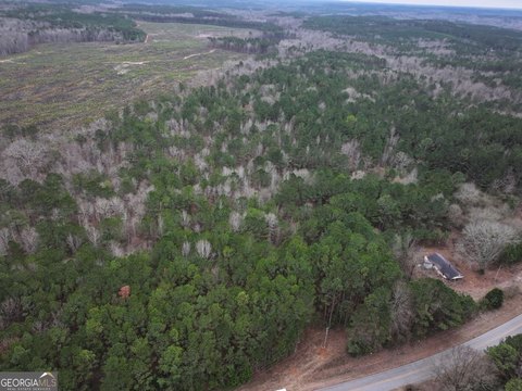 LAND - Franklin, GA