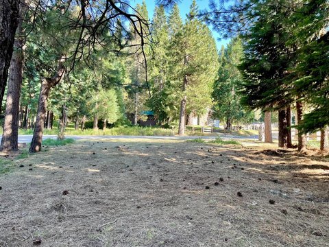 Land, Fish Camp, CA