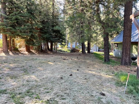 Land, Fish Camp, CA