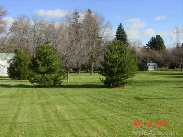 Picture 5