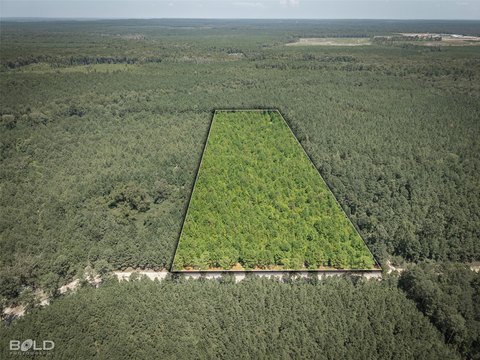 Land, Plain Dealing, LA