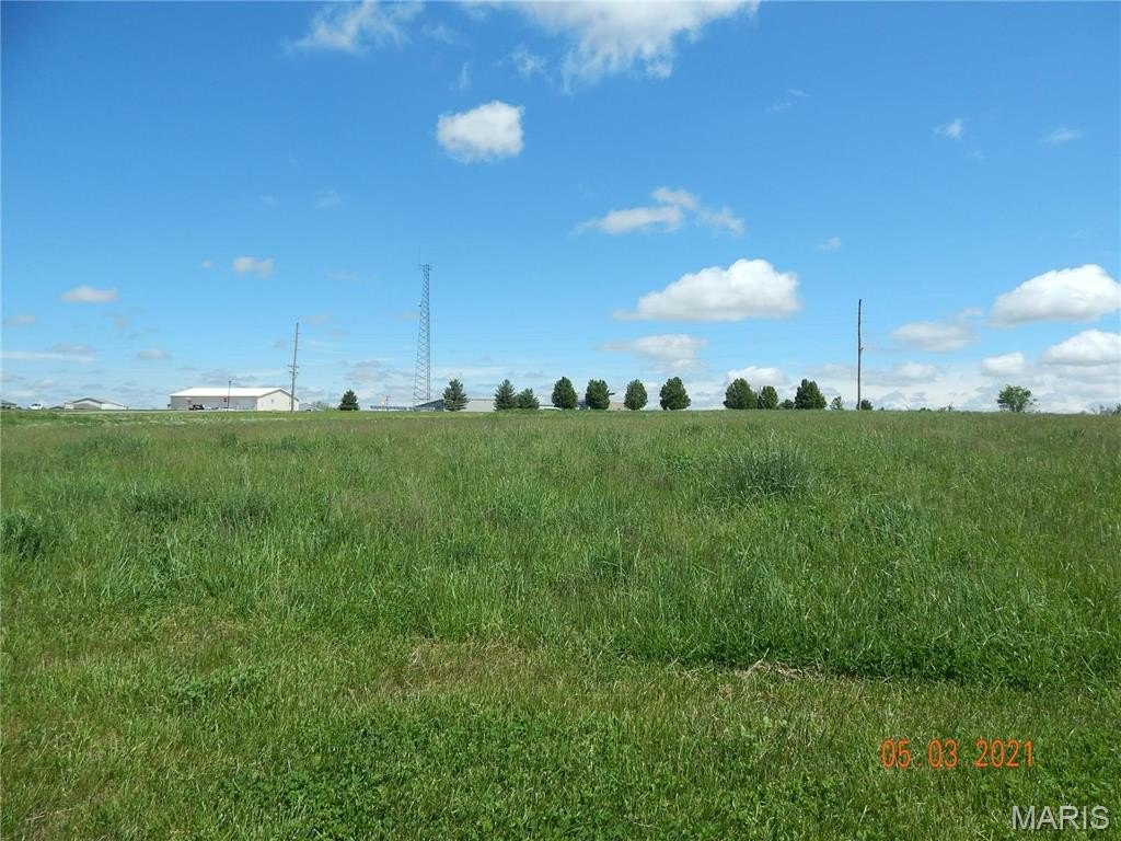 Picture 5