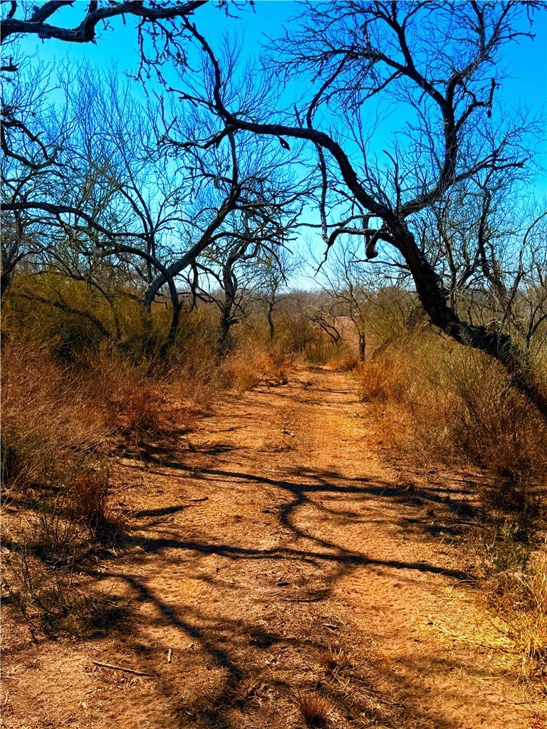 San Diego Acreage For Sale